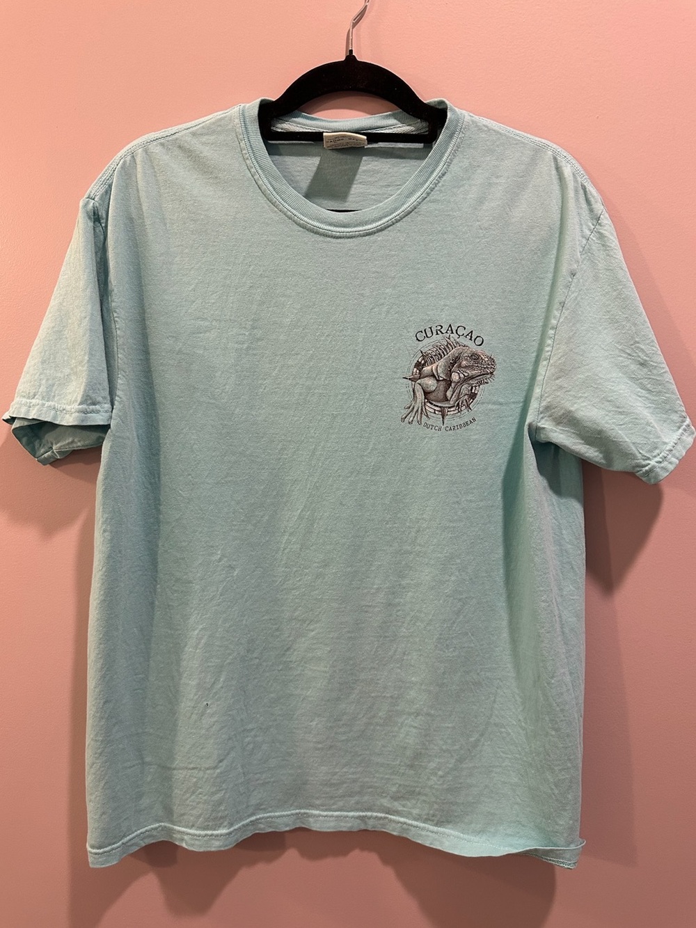 Comfort Colors Curacao Short Sleeve Tee Size L Greenish Blue